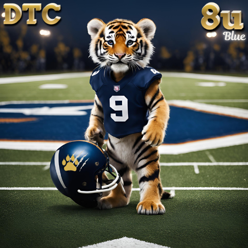 Douglasville Tiger Cubs 8U 2025