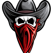 Kingman Rebels 11U F25