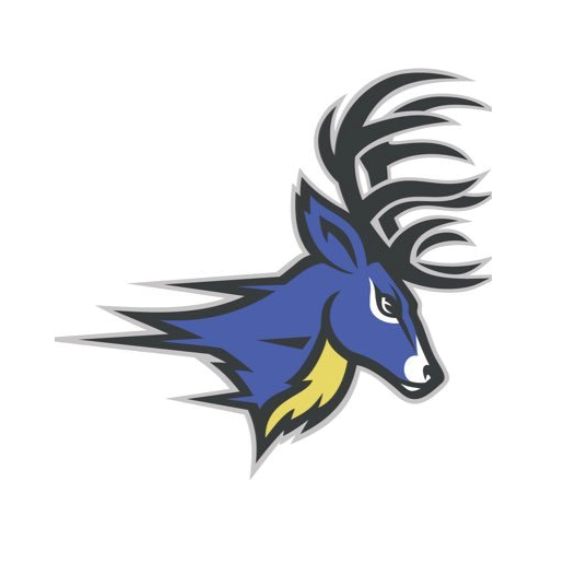 MSMYF 6th Grade Stags