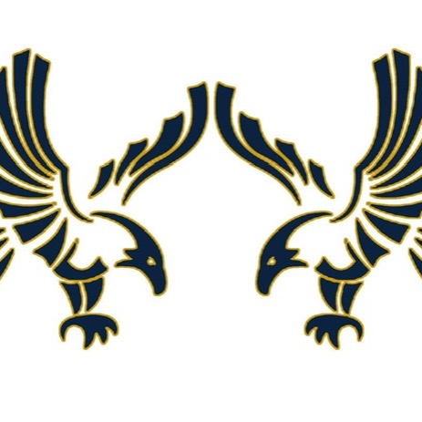 Jr Hawks 12U Maricopa