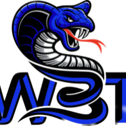 West Boynton Cobras 11U