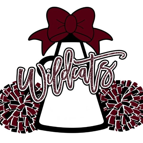 Whitehouse Wildcats Flag Cheer