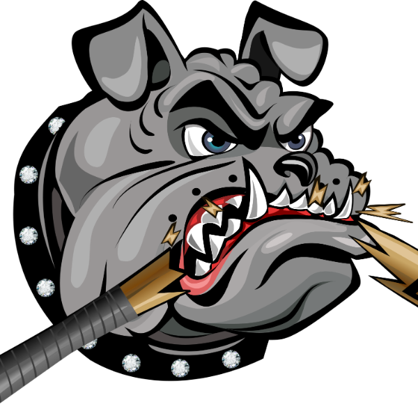 Mentor Diamond Dogs 13U