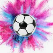 Doral Pebble Red (DeHoop-Thompson) ES K-1 Rec