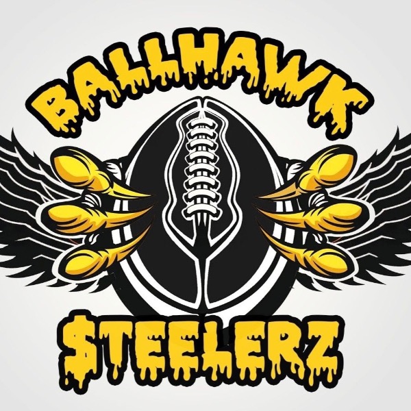 3555) Ballhawk Steelerz (Caputo)