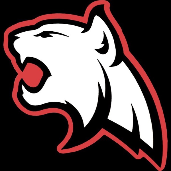 2023 Bobcat 7’s Black