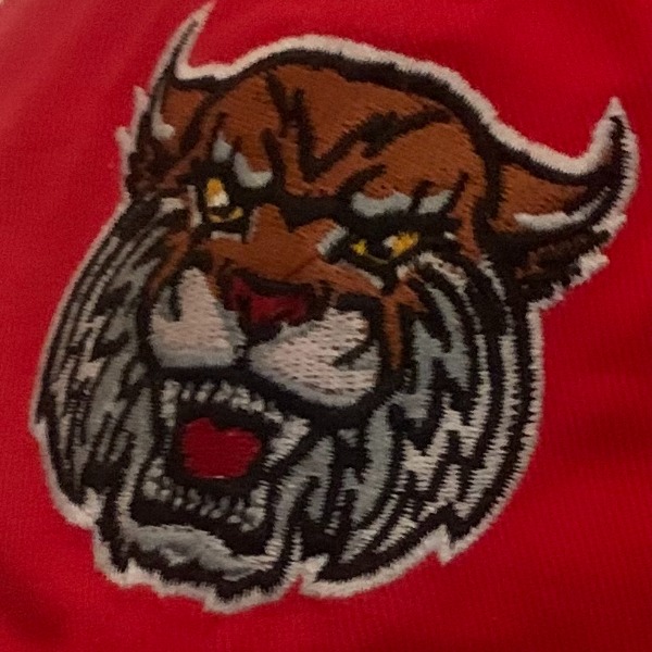 East Williston Wildcats