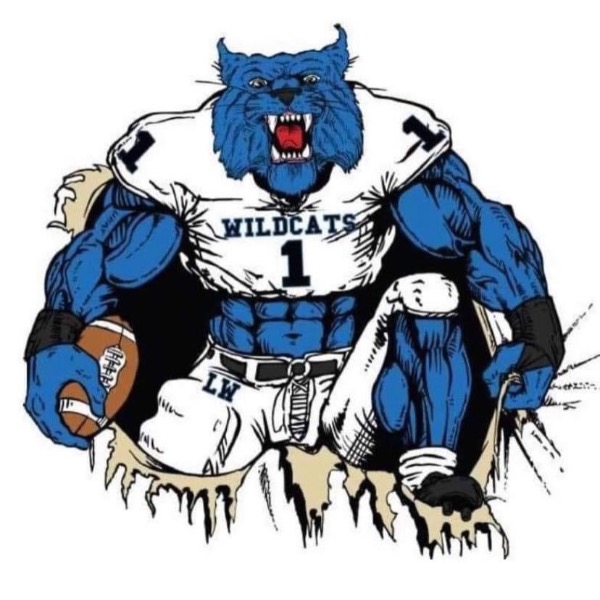 Motor city wildcats 14u