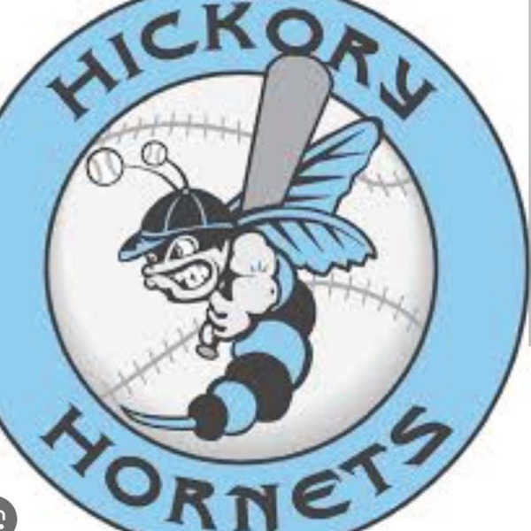 Hickory Hornets 8U