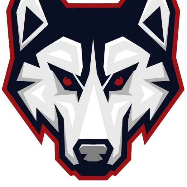 Iron City Huskies