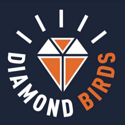 Diamond Birds
