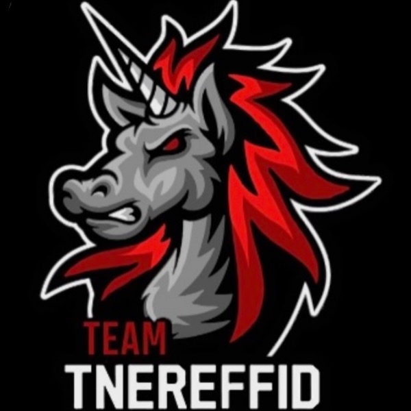 Team TNEREFFID  2028