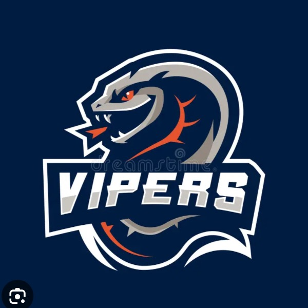 Goose Creek Vipers