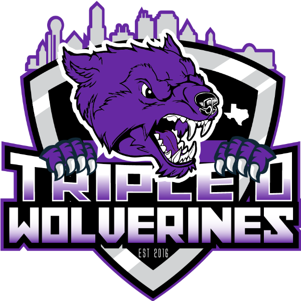 2024 (10u)  Triple D Wolverines  10U