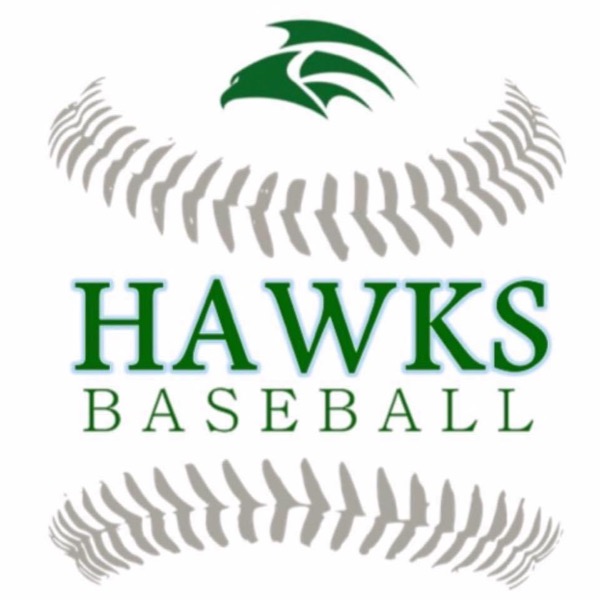 South Walton Hawks 12u