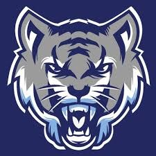 Lionville Hillcats White 13u