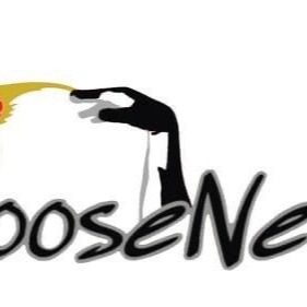 Gooseneck Elite 4th Grade 34