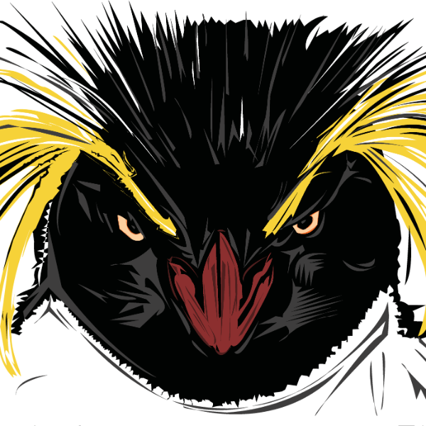 Rockhoppers Football 14u Premier (RHP) 2024-NEYT