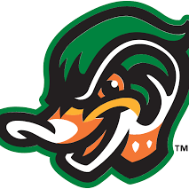 Wendell Wood Ducks