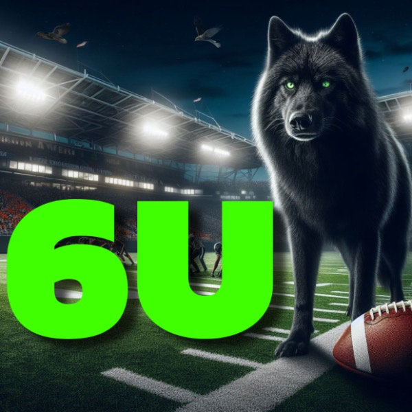 Circle City Wolves 7U