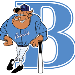 Michigan Bulls 11U - Whitmire