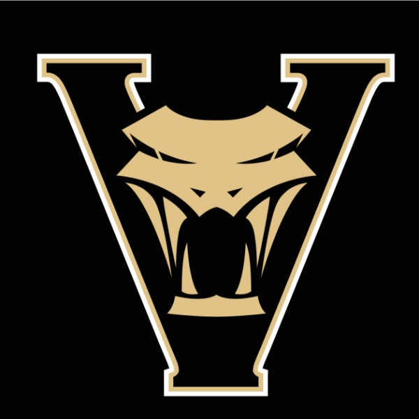 JrVipers-Black Team 12u