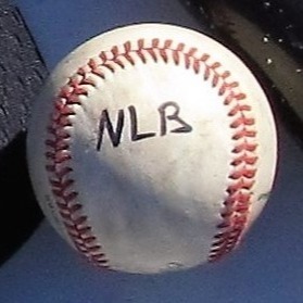 Denham Springs Next Level Baseball 14U