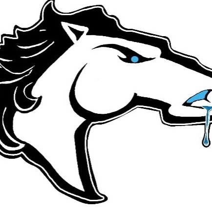 Hazel Crest Mustangs 11U