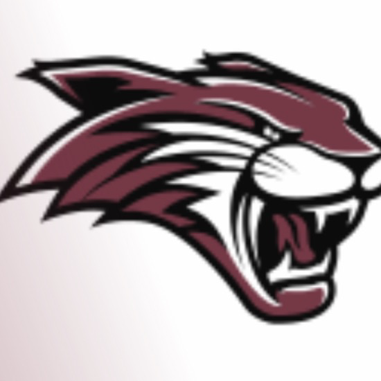 2025 Bethel Wildcats Football - 9U Tackle