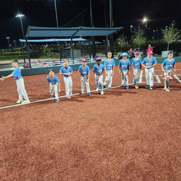 Northport Hammerheads