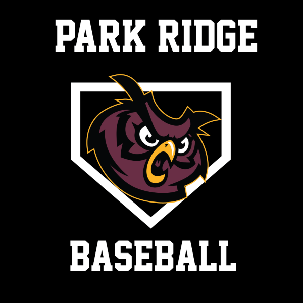 Park Ridge Owls 10U
