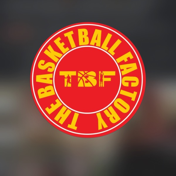 The Basketball Factory