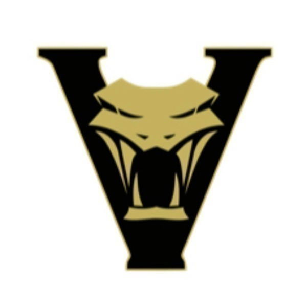 JrVipers-Gold Team 13U