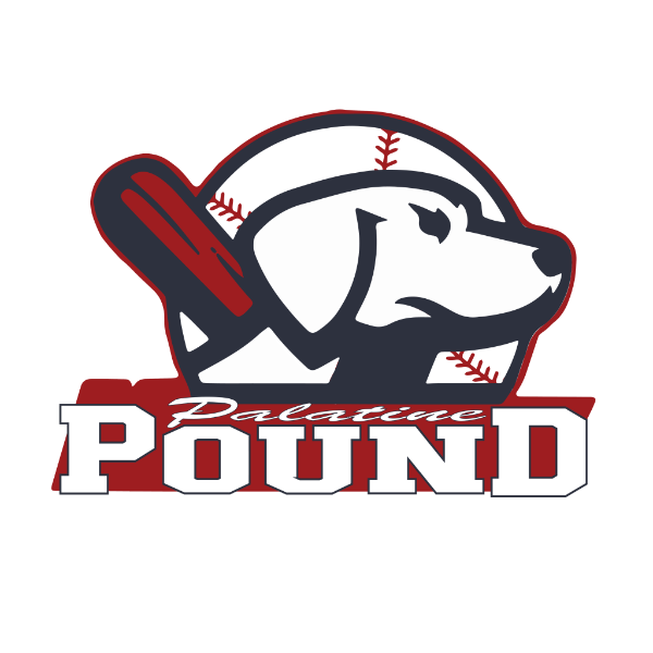 Palatine Travelers 12u Blue