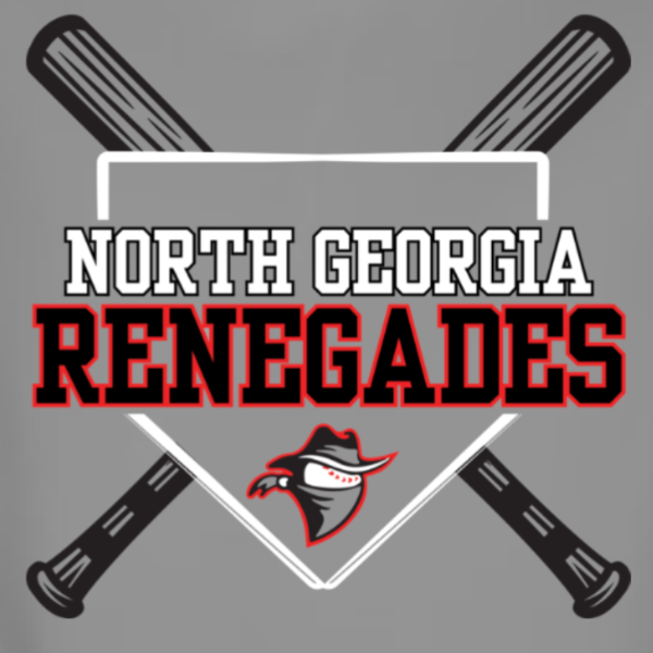 10U North Georgia Renegades