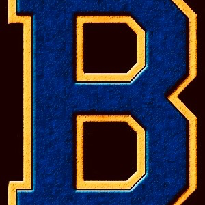 Brawley Wildcats - Flag White 7u