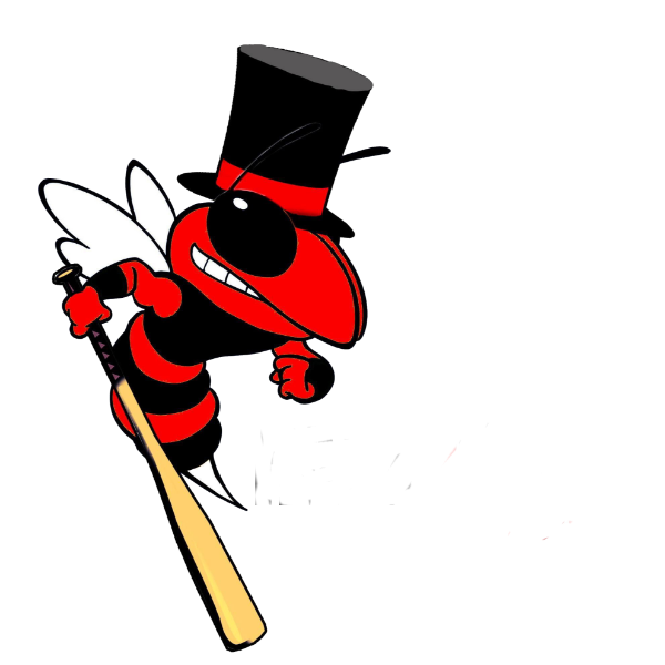 Hatboro Hornets 12's