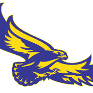 Buckeye Hawks 13/14U