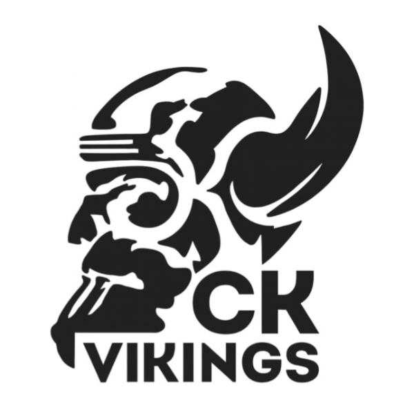 CK Vikings D3
