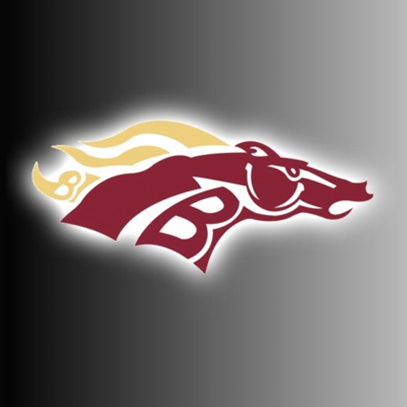 Brookwood 12U Pulaski