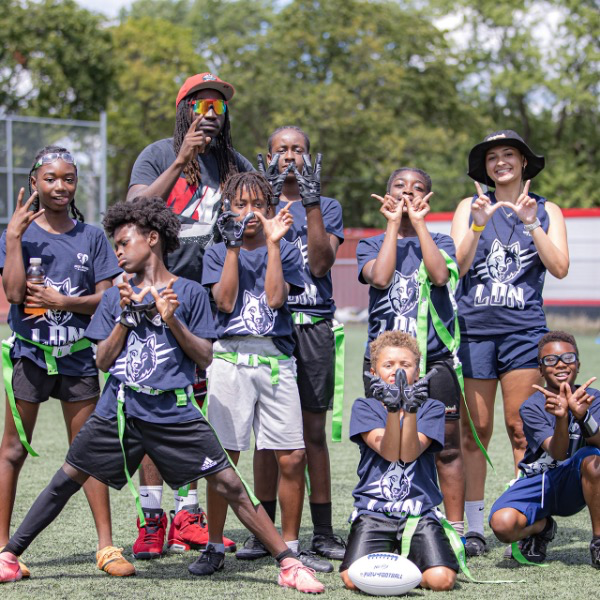 Les Louveteaux (Grey)