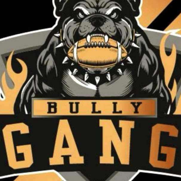 6U Bully Gang