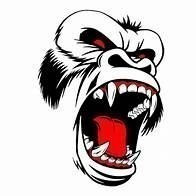 Maricopa  Rampage 7u