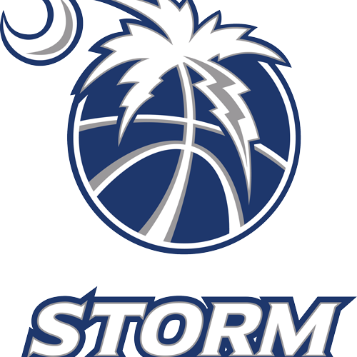 SC UPSTATE STORM