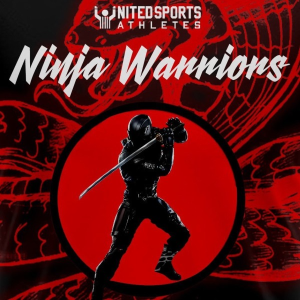 Ninja Warriors