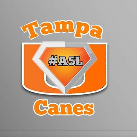 Tampa Hurricanes 14u