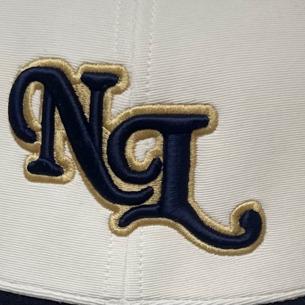 Denham Springs Next Level Baseball 11U