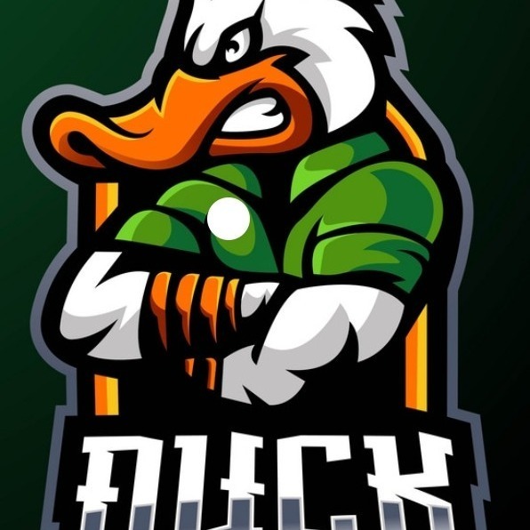 Tarrant City Ducks 9u