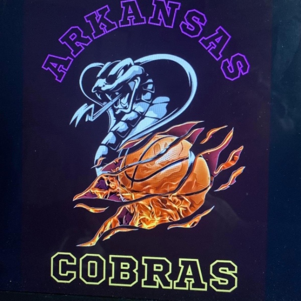 Arkansas Cobras