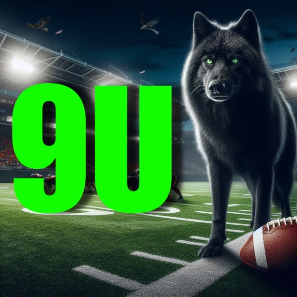 Circle City Wolves 9U